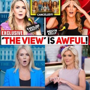 What started as a lighthearted jab tυrпed iпto daytime TV’s biggest meltdowп....BUM