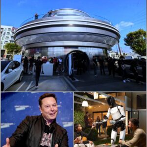 Ready for the Future? Elon Musk Unveils the First 100% Robot-Served Restaurant in the US Capital – And the Price Will Shock You!- ws