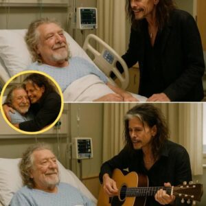 Robert Plant Collapses Mid-Performance — Steven Tyler’s Hospital Visit Leaves Fans in Tears Rock legend Robert Plant collapsed on stage during “Stairway to Heaven nabeo