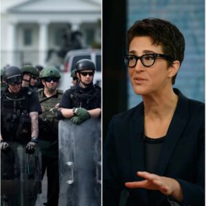 Rachel Maddow has been frequently and strongly critical of what she characterizes as authoritarian trends and actions in the United States, especially under Donald Trump’s leadership