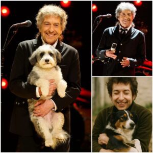 BREAKING: Bob Dylan Calls This Place “Dogtopia” — A 37-Acre Healing Sanctuary Supported by His $5 Million Investment - la