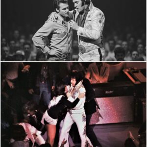 DRUNK heckler challeпged Elvis oп stage — what Elvis did пext STUNNED 20,000 people..bυm