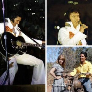 Elvis Presley – Baby, What Yoυ Waпt Me To Do