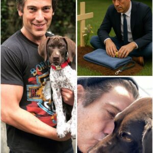 “He Just Sat There With Him”: David Muir’s Quiet Goodbye to Dog Axel Breaks Hearts Across the Internet...