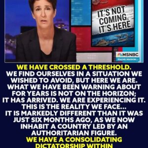 Rachel Maddow, MSNBC host and political commentator, has been highly critical of Donald Trump, describing his leadership as authoritarian and warning that the United States is "already there"