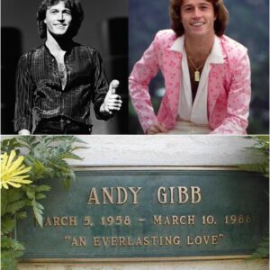 What Really Happened to Andy Gibb? The Death and Grave of The Bee Gees Younger Brother