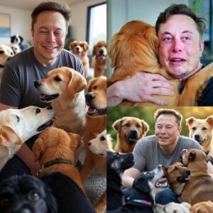 Elon Musk's Heartwarming Act: Elon Musk's inspiring act of kindness, from rescuing a dog to donating $10 million for animal relief efforts. Let's see what this money has done in terms of meaning. - ws