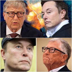 BILL GATES AND ELON MUSK CLASH OVER AI'S FUTURE! ws