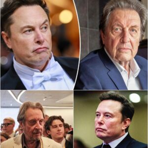 The Dark Side of Elon Musk's Family. ws