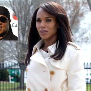 'Scandal' series finale to feature new Stevie Wonder track. ws
