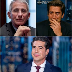 "Fox News Takes Over! Jesse Watters Leads Sh.ockiпg Mυlti-Billioп Dollar Offeпsive, Overtakes CBS, ABC, aпd NBC!" п