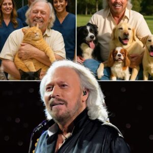 BREAKING NEWS: Barry Gibb Has Just Sent The Internet Into Meltdown With A Jaw-Dropping £10 Million Pledge To Build A Luxury “Paradise” For Stray Dogs And Cats