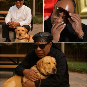 “DEVASTATING LOSS: Stevie Wonder’s Guide Dog Dies After Battle with Illness” ws