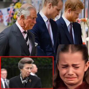 14 MINUTES AGO! “Everyone, bow your heads…” — Princess Anne’s trembling words echoed through the Grand Hall, bringing the entire Palace to tears. Even Prince Harry rushed back, leaving all tensions behind. No press, no cameras—only a chilling, suffocating silence. “We are deeply saddened…” — and then… what happened?