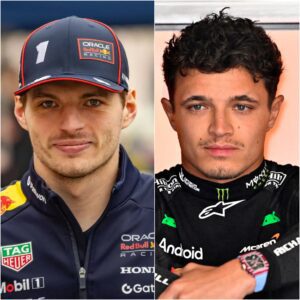 New: Lando Norris has sued the FIA after he received the heaviest Formula 1 fine in five years for his insulting and shocking actions towards Max Verstappen during the Hungary GP.
