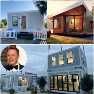 BILLIONAIRE IN A BOX! Crazy but meaningful and groundbreaking ideas. Elon Musk's $50,000 prefab home is a far cry from traditional luxury. What do you think about his choice?