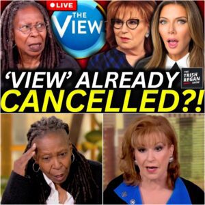 Just in: Rosie O’Donnell says ‘The View’ is already cancelled and ABC and Disney are merely trying to let Joy Behar and Whoopi Goldberg down gently.