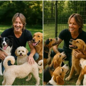 BREAKING NEWS: From Stage Lights to Shelter Lights — Keith Urban Pledges $20 Million to Build a Safe Haven for Stray Dogs nh