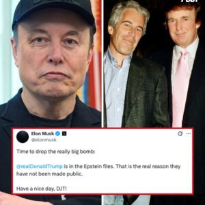 Elon Musk drops ‘really big bomb,’ accuses Trump of being in Epstein files as public brawl escalates nabeo