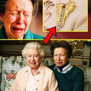 "I MISS YOU, MUMMY" – At 75, Princess Anne BURSTS INTO TEARS Over Priceless Birthday Gift Left By the Late Queen