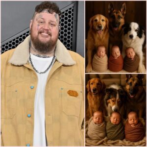 Three Stray Dogs Become Heroes After Protecting Three Abandoned Newborn Girls in Houston — Jelly Roll Steps In to Change Their Fate Forever