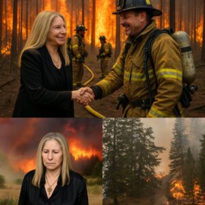 LATEST: Barbra Streisand Donates All Concert Proceeds to Support California Firefighters. ws