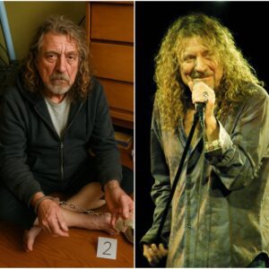 GLOBAL SHOCK: Robert Plant Arrested for Alleged Involvement in Massive Drug Trafficking Network โ Could This Be the โDark Moneyโ Behind His Legendary Career? nabeo
