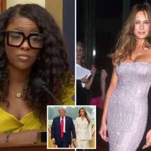 Jasmine Crockett questions Melania’s merit for ‘Einstein Visa’ -nabeo