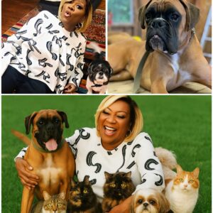 Patti LaBelle sets the internet ablaze with a heartwarming announcement, revealing plans to invest $10 million into building a “paradise” for stray dogs and cats 🐶💖
