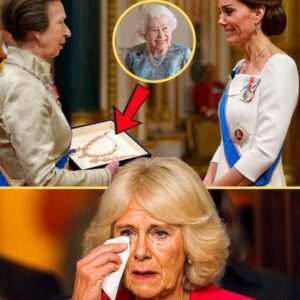 At 75, Princess Anne Reveals Late Queen’s Hidden Command & Rare Heirloom Diamond for Catherine - Camilla Left in the Dark - ngl
