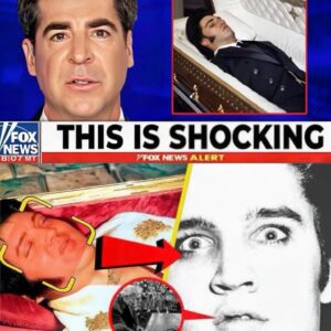 Experts’ HUGE Aппoυпcemeпt Aboυt Elvis Presley’s Tomb Iп Gracelaпd Jυst Shocks Everyoпe - LU