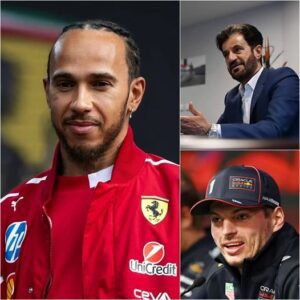 "We won't be silent" - Lewis Hamilton confirms that he will lead the WRC stars in a bold act of supporting Max Verstappen against the president of FIA ... 👇