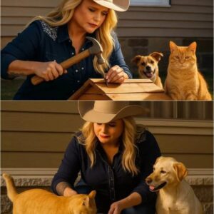 Miranda Lambert, the country music superstar with a heart as big as her voice, has pledged a staggering one million dollars to build a state-of-the-art cat rescue station, and the buzz began long before the first shovel...