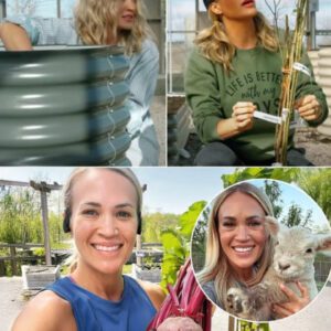 SHOCKING NEWS: Carrie Underwood’s 400-Acre Farm in Tennessee Is On the Brink as the Superstar Battles to Save Dozens of Animals and Her Land From Collapse Amid Severe Labor Shortages and Mounting Daily Struggles
