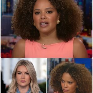 "The Warning Letter Has Been Sent": MSNBC Shaken After Unprecedented On-Air Attack on Karoline Leavitt_TD