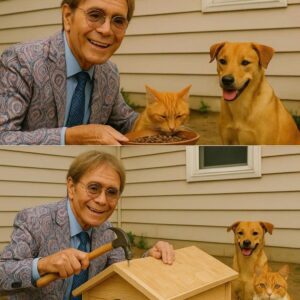 CLIFF RICHARD PLEDGES $1 MILLION FOR CAT RESCUE. Sir Cliff Richard has pledged $1 million to build a state-of-the-art cat rescue center — a haven for abandoned felines that reflects his lifelong love for animals and passion for giving back. ws