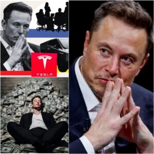 Elon Musk’s Incredible Influence: Just 10 Seconds of Apology Brought Tesla $191 Million nabeo