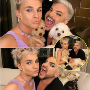 Incredible Hero: Adam Lambert Rescues and Builds a Farm to Care for Dogs After Massive Texas Flood nh