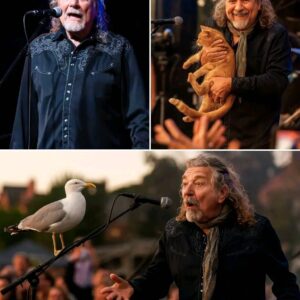 Watch Led Zeppelin’s final performance of ‘Stairway To Heaven’ na