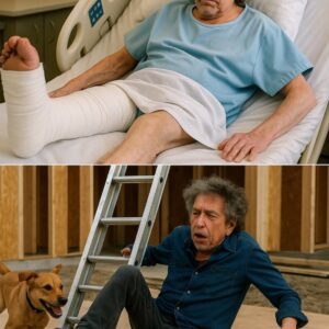A peaceful day of charity work took a chaotic turn when Bob Dylan was rushed to the hospital after an unexpected accident at an animal rescue shelter he had helped build. ws