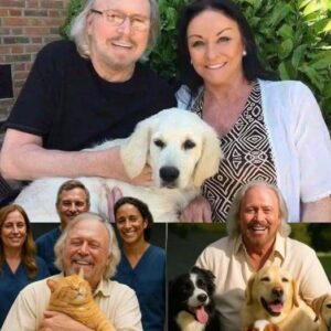๐ฅ BREAKING: Barry Gibb Shocks the World With a ยฃ10 Million Pledge to Build a Dream Sanctuary for Stray Animals โ The Heart-Wrenching Story Behind His Decision Will Leave You in Tears! ๐ฅ