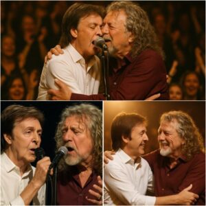When Paul McCartney and Robert Plant finally shared a stage, it wasn’t just music—it was history breathing. Two legends.