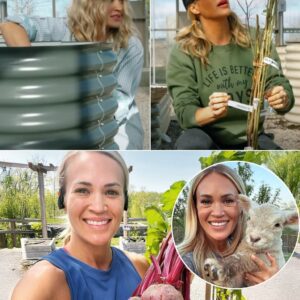 “Carrie Underwood Issues Urgent Call for Help to Save Her Struggling 400-Acre Tennessee Farm” nh