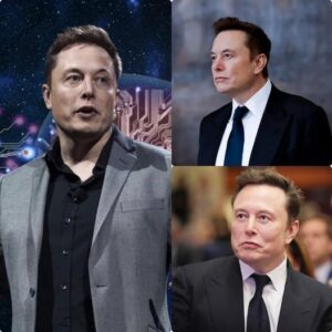 UNBELIEVABLE: Harvard Professor Criticizes Musk’s Intelligence, Calling Him “Rich But Not Smart nabeo