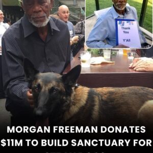 Morgan Freeman Donates $11 Million to Build Sanctuary for Stray Dogs 🐾🏡 - Hollywood Legend Turns Compassion Into Action, Creating Hope for Abandoned Animals