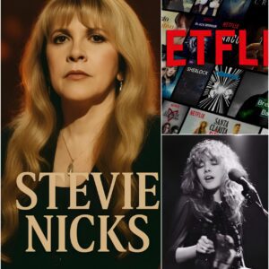 Stevie Nicks is set to release a 7-episode series on Netflix, telling the inspiring journey of her music career. TD