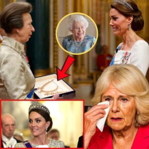 At 75, Princess Anne Reveals Late Queen’s Hidden Command & Rare Heirloom Diamond for Catherine – Camilla Left in the Dark...