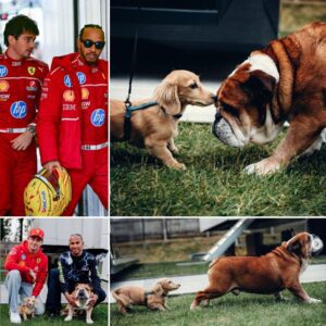 Lewis Hamilton and Teammate Charles Leclerc Confirm Roscoe Hamilton and Leo Leclerc Set for Adorable Ferrari Meeting at British GP — But One Major Obstacle Remains!