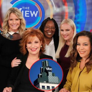 BREAKING: DISNEY SET TO SELL ABC FOR $20 BILLION—NEW OWNER REPORTEDLY PLANS TO KILL THE VIEW! п