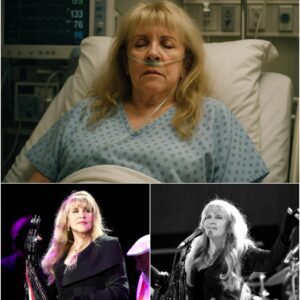 Stevie Nicks has been involved in a serious accident and is currently in emergency care! TD